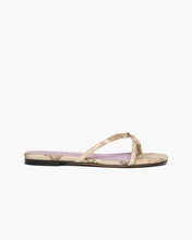 Load image into Gallery viewer, Adesa 05 Snakeskin - Gold
